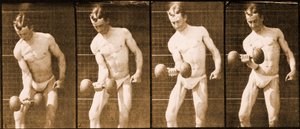 Obrázek ze série "Animal Locomotion", cca 1887 od Eadweard Muybridge